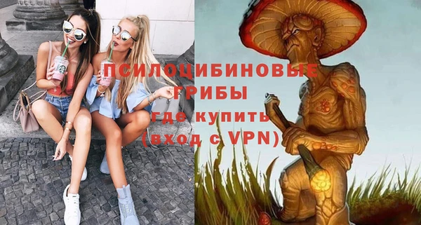 не бодяженный Абаза
