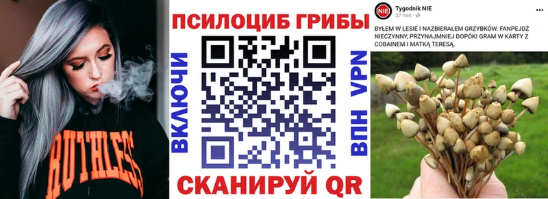 Псилоцибиновые грибы ЛСД  Усмань 